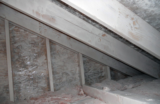 Roof rafters coated in mold-resistant coating to prevent further wood mold damage
