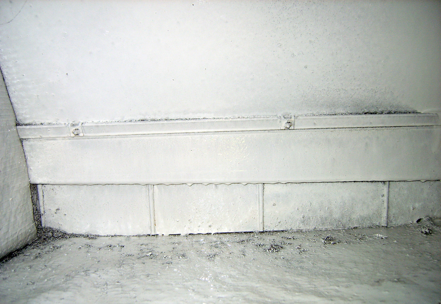 Mold remediation solution applied to a water damaged wall in the basement