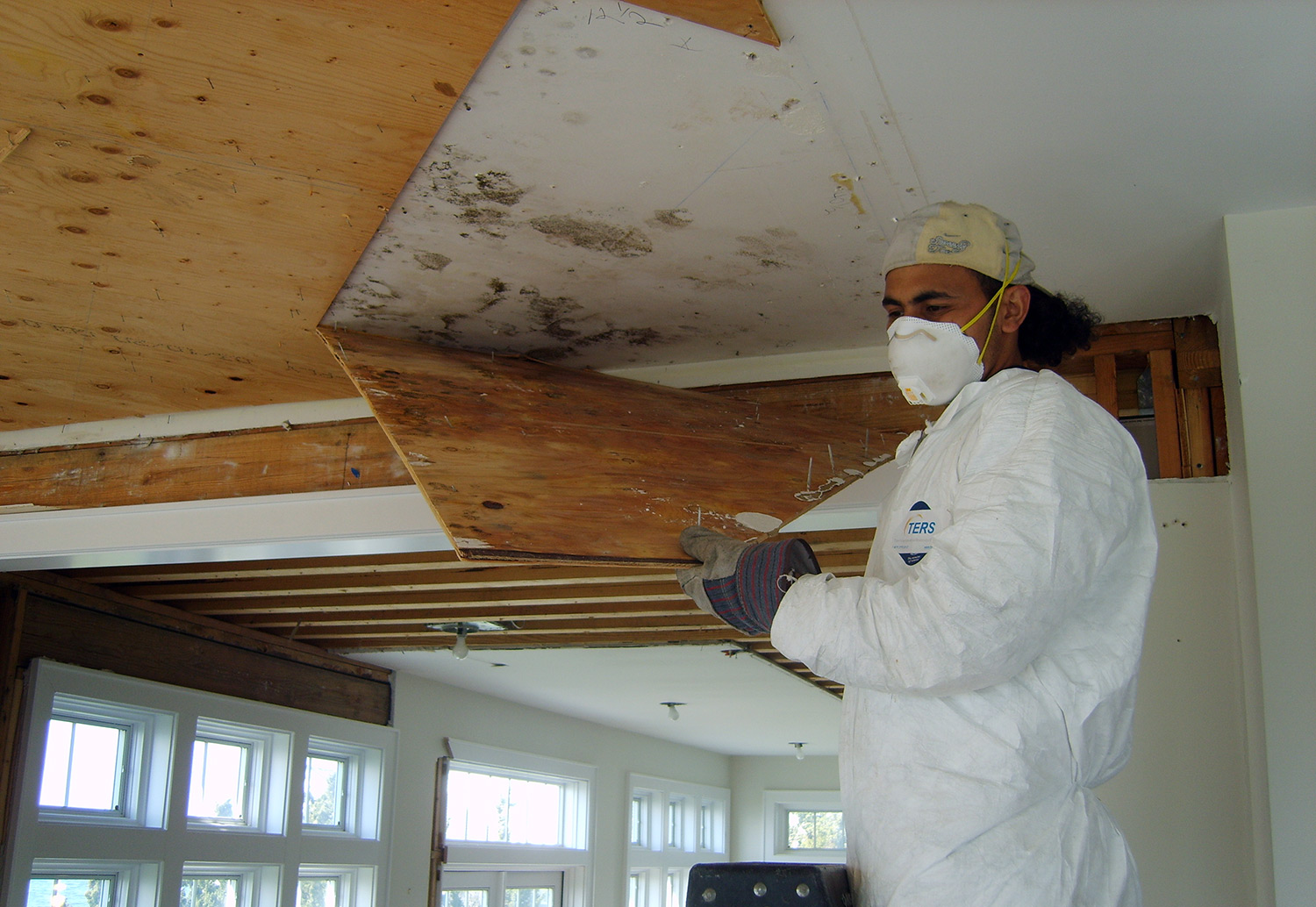 TERS water and mold restoration expert pulling plywood from the ceiling to expose mold damage