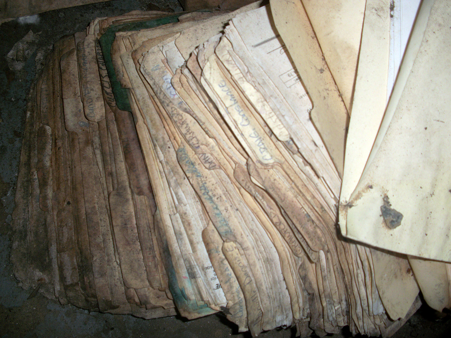 Moisture and mold covered folders with papers and documents laying on the basement floor