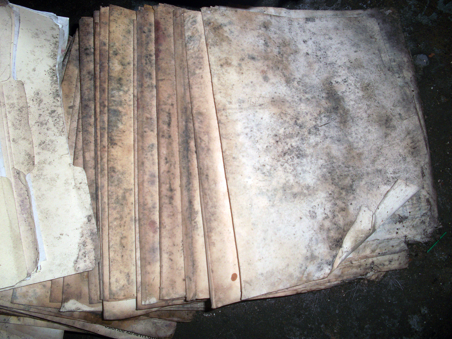 Water and mold damaged paper folders and documents scattered on the wet floor