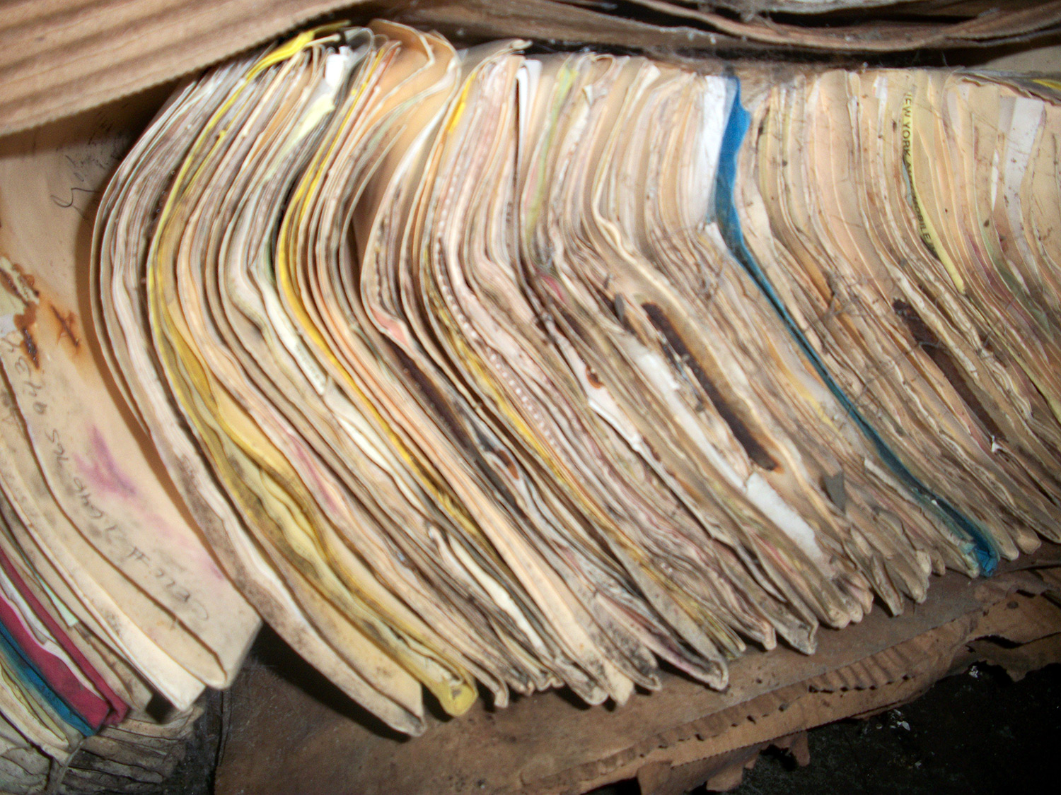 Water damaged cardboard box with paper folders and documents covered in mold and mildew